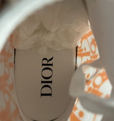Dior B23 High Top Oblique Transparency