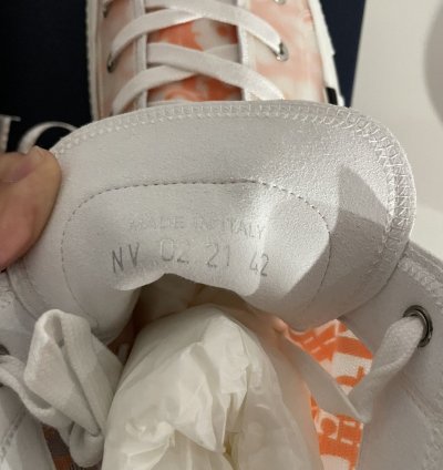 Dior B23 High Top Oblique Transparency