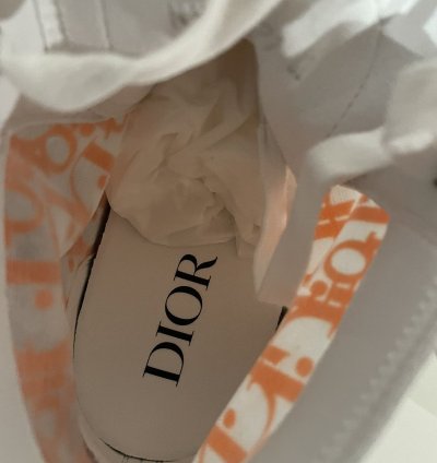 Dior B23 High Top Oblique Transparency