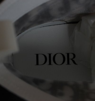 Dior B23 High Top Sneaker