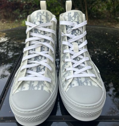 Dior B23 Hightop Size 13