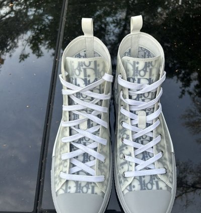 Dior B23 Hightop Size 13