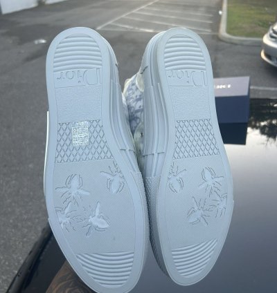 Dior B23 Hightop Size 13