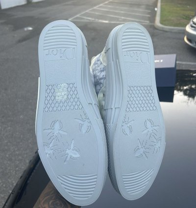 Dior B23 Hightop Size 13