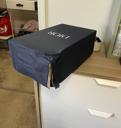 Dior B23 Low