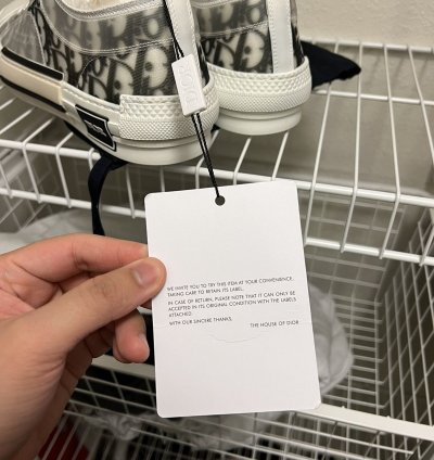 Dior B23 Low