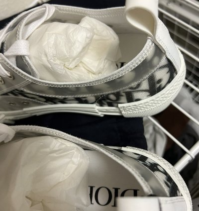 Dior B23 Low