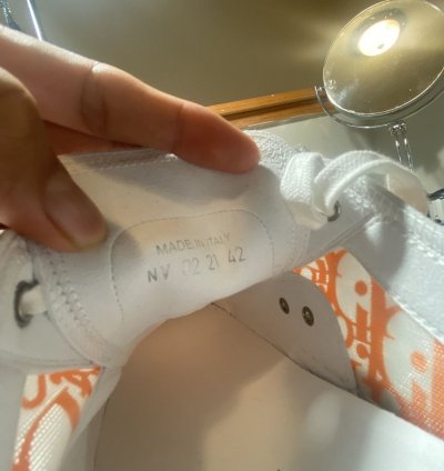 Dior B23 Low Dior Oblique Orange