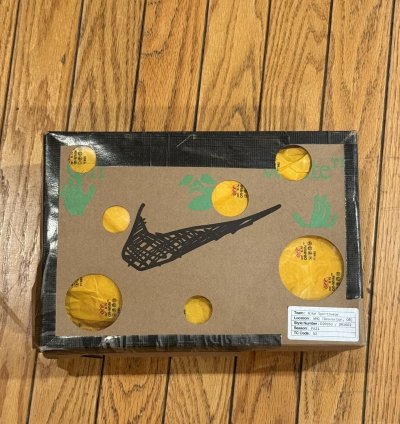 Nike Off White Dunk Low Lot 35