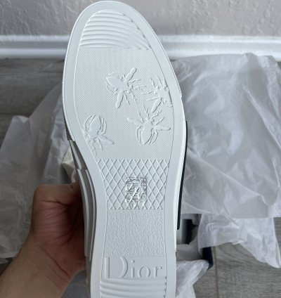 Dior B23 Lt Oblique