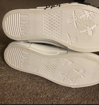 Dior B23 Shawn Bee