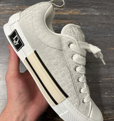 Dior B23 Skate Low Oblique Jacquard