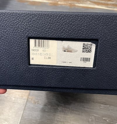 Dior B23 Skate Low Oblique Jacquard