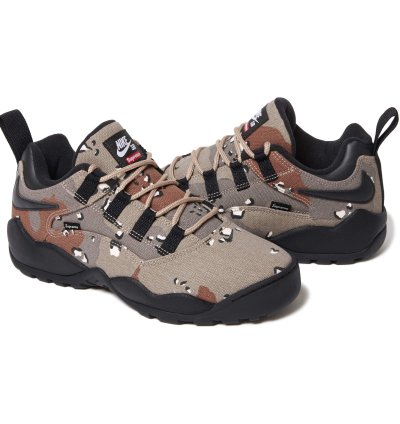 Nike Sb Darwin Low
