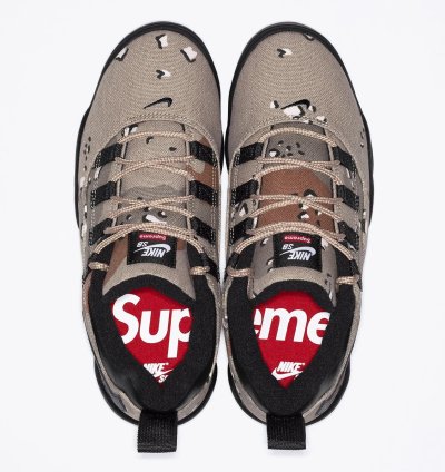 Nike Sb Darwin Low