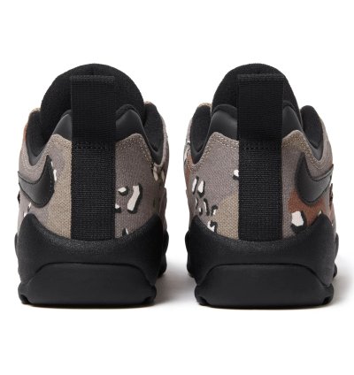 Nike Sb Darwin Low