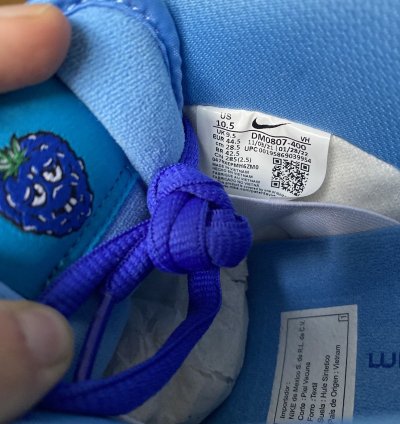 Nike Sb Dunk Low Blue Raspberry