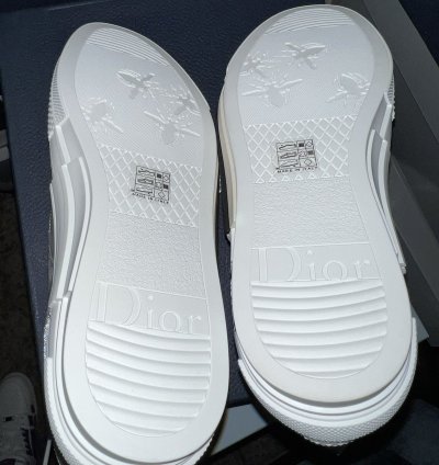Dior B23 White And Multi Color Dior Chicks