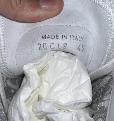 Dior B23 White And Multi Color Dior Chicks