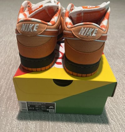 Nike Sb Dunk Low Concepts Orange Lobsters