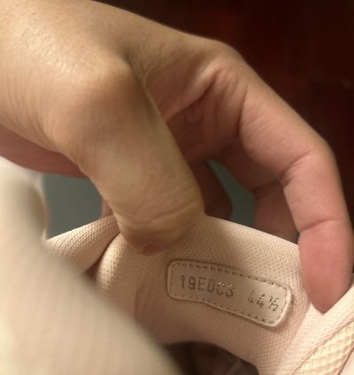 Dior B24 Trainer Pink