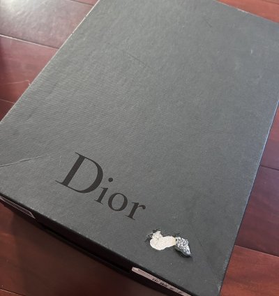 Dior B24 Trainer Pink
