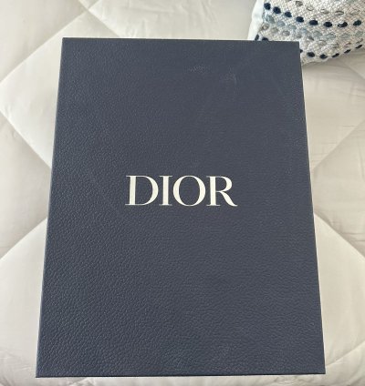 Dior B27 High Dior Oblique Galaxy