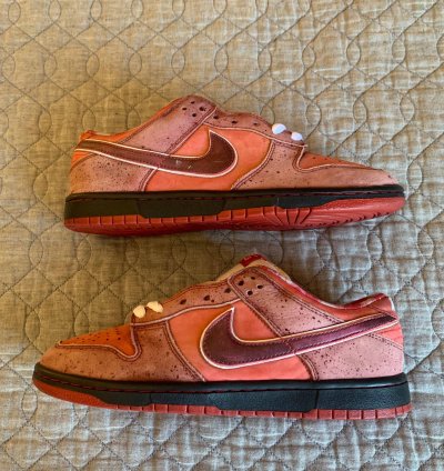 Dunk Low Premium Sb Lobster