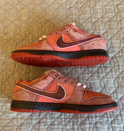 Dunk Low Premium Sb Lobster