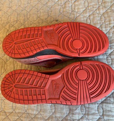 Dunk Low Premium Sb Lobster