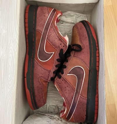 Dunk Low Premium Sb Lobster 2008
