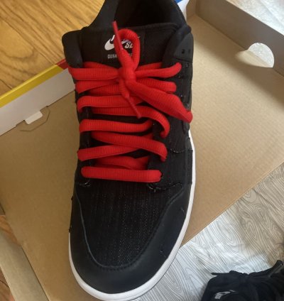 Nike Sb Dunk Low Pro Qs Wasted Youth
