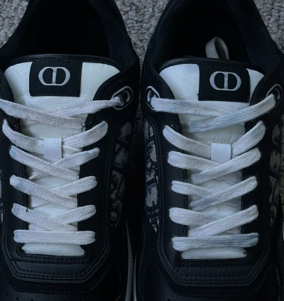 Dior B27 Low Black Beige