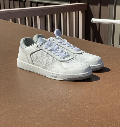 Dior B27 Low White And Grey