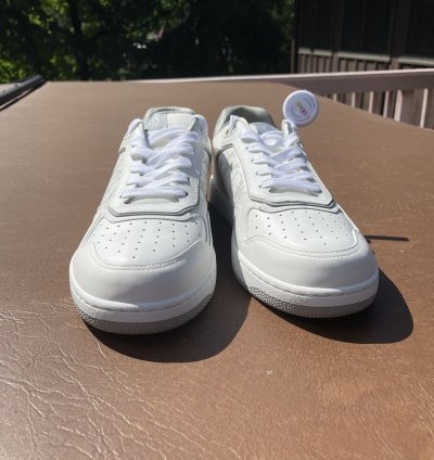 Dior B27 Low White And Grey