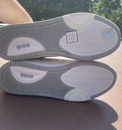 Dior B27 Low White And Grey