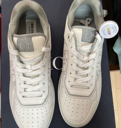 Dior B27 Low White And Grey