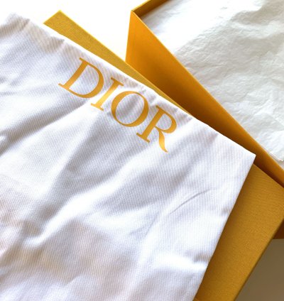 Dior B27 Low World Tour Yellow