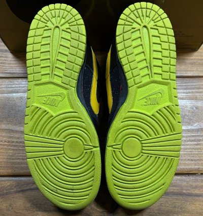 Dunk Low Premium Sb Space Tiger