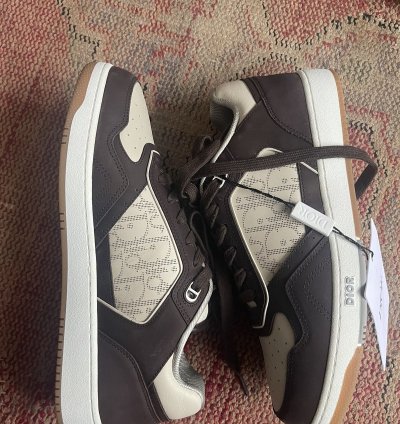 Dior B27 Oblique Brown