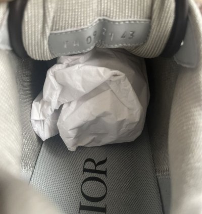 Dior B27 Oblique Brown