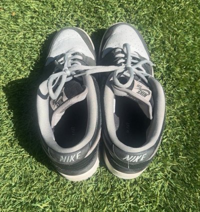 Dunk Low Sb -pack Shadow No Box