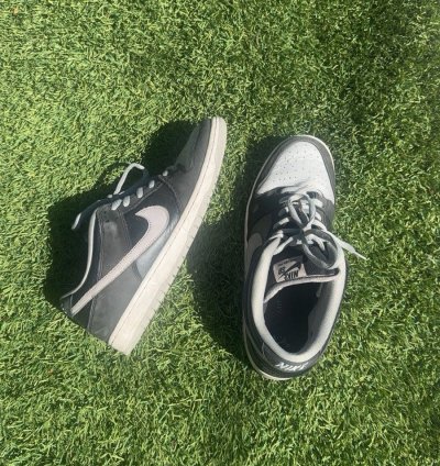 Dunk Low Sb -pack Shadow No Box