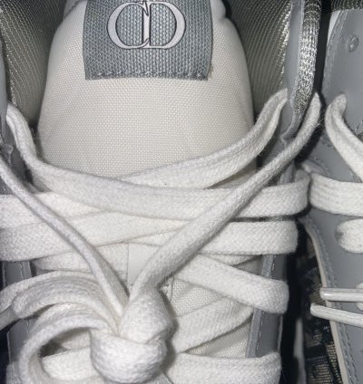 Dior B27 White Oblique