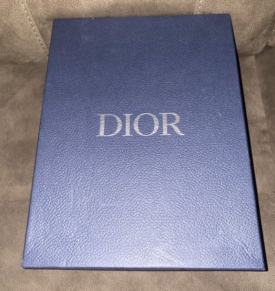 Dior B27 White Oblique