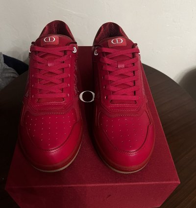 Dior B27 World Cup Sneakers