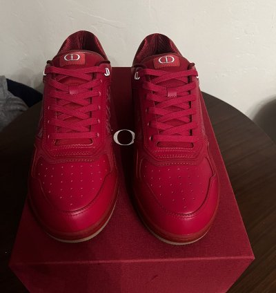 Dior B27 World Cup Sneakers