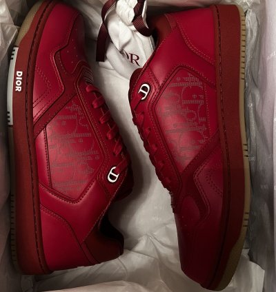 Dior B27 World Cup Sneakers