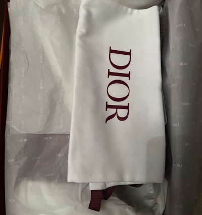 Dior B27 World Cup Sneakers