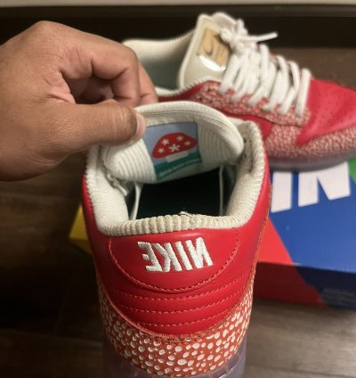 Nike Sb Dunks Stingwater